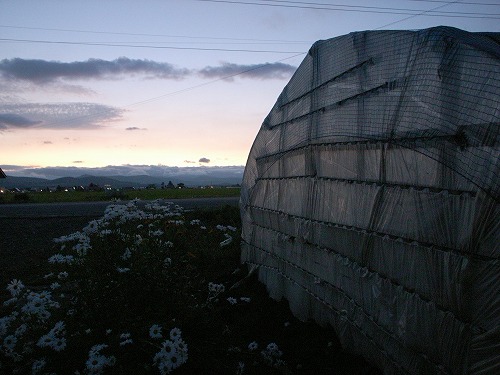 s-R001932.jpg