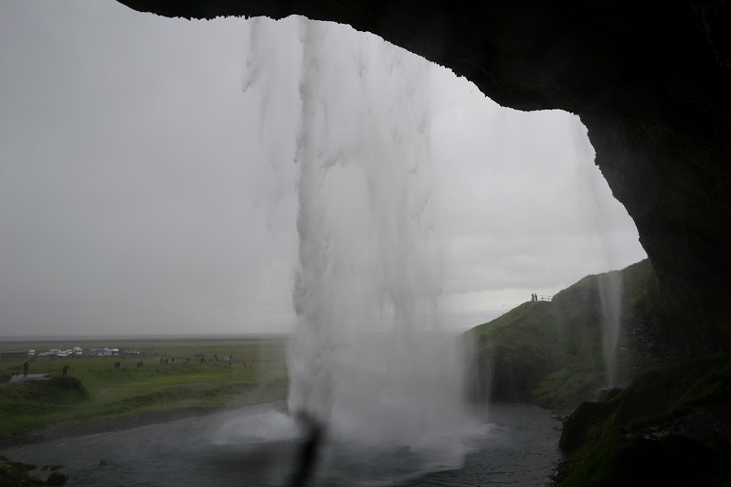 s-foss (11).jpg