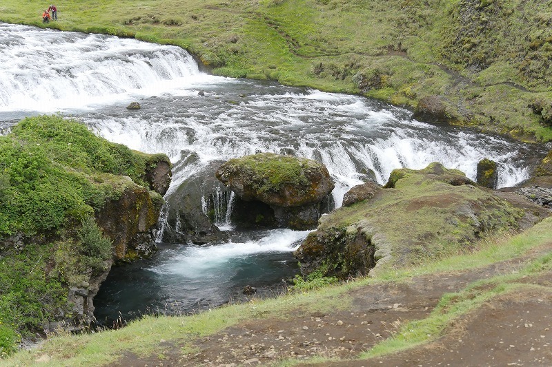 s-foss (5).jpg