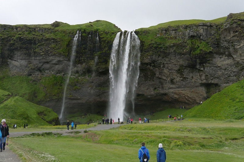 s-foss (8).jpg