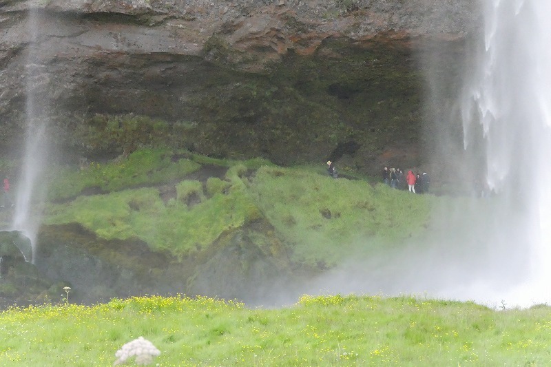 s-foss (9).jpg