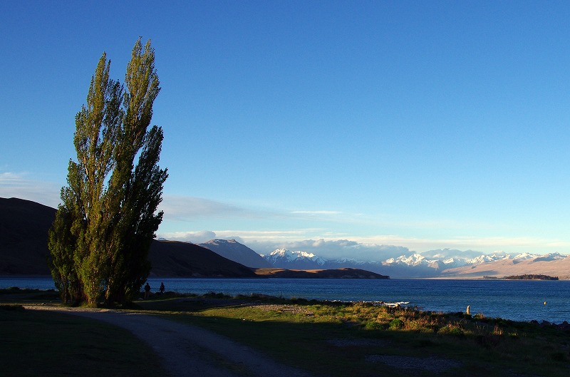 tekapo12.jpg