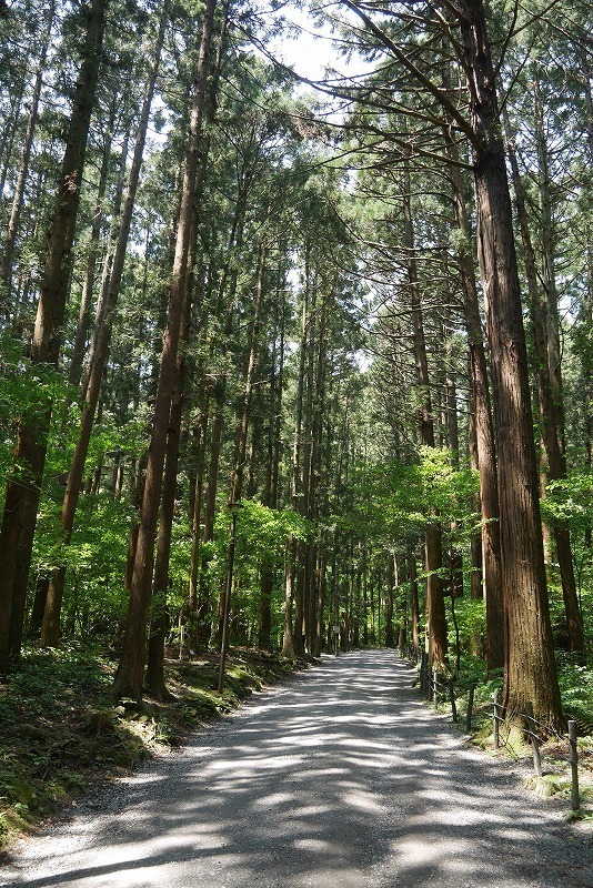 yahiko01.jpg