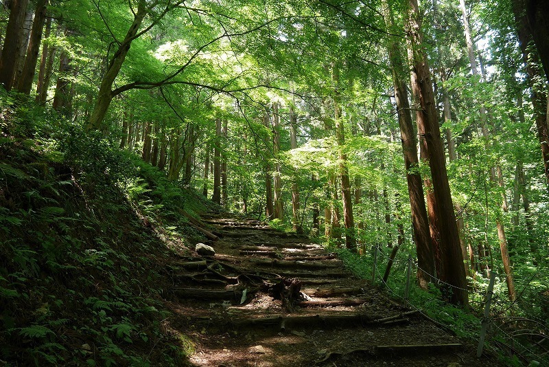 yahiko04.jpg